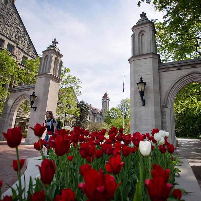 A student walking through the Sample Gates at Indiana University